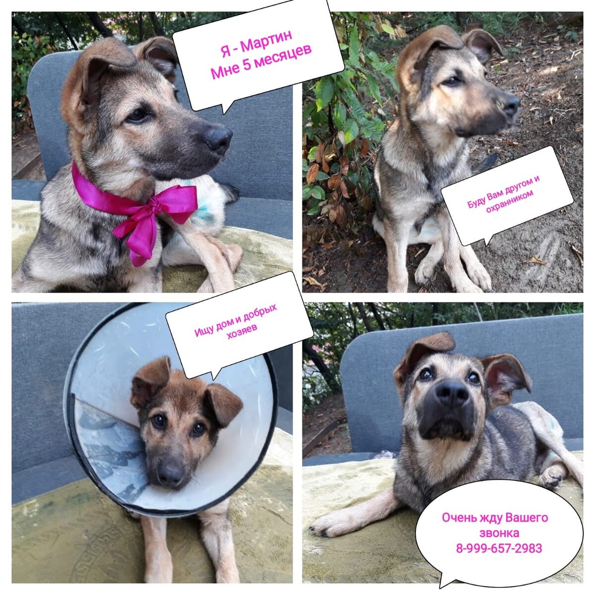 Фото из вацап