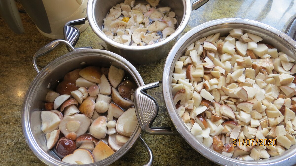 Шляпки - в мариновку, ноги - в отваривание, сырки - в накопитель.