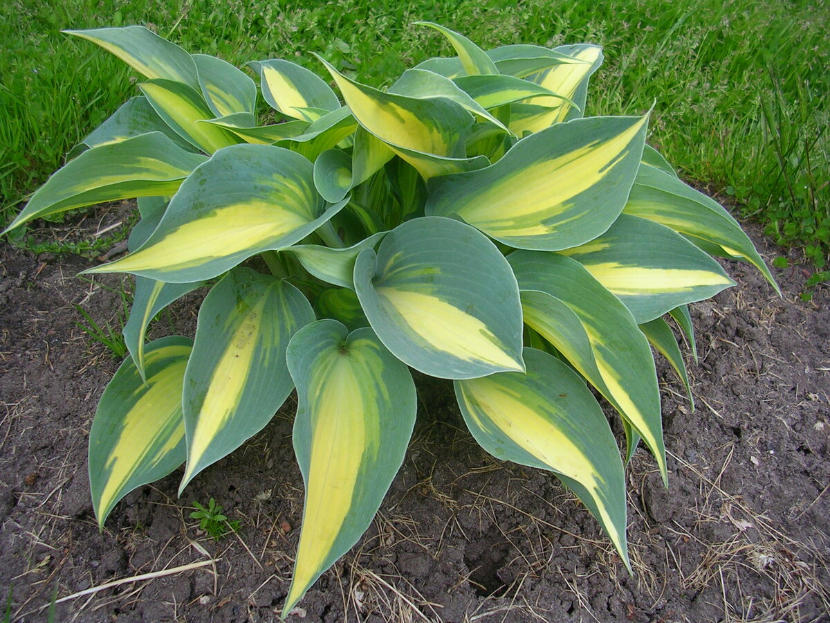 Источник фото: www.nn.ru