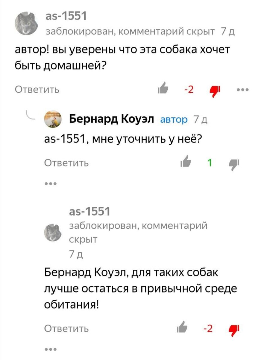 Токсичная аудитория на Дзене - кладезь контента. Листайте =)