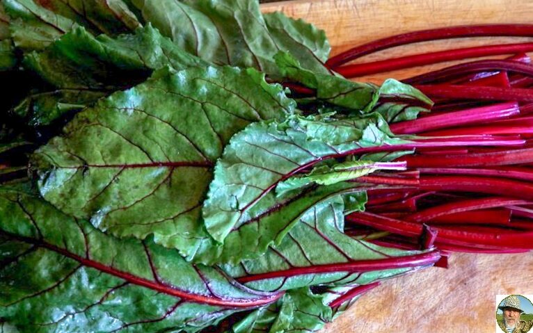 Свежая вкусная ботва, звучит странно