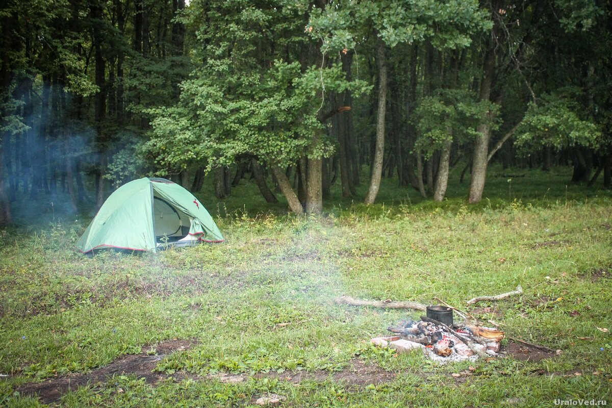 Наш лагерь утром. Вечером и ночью из этого леса доносились крики какого-то зверя