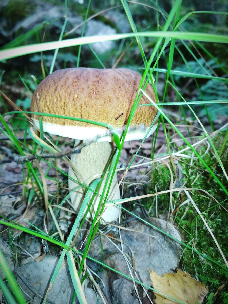 Фото из личного архива