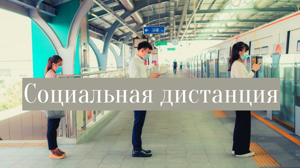 Изображения взяты из открытых источников