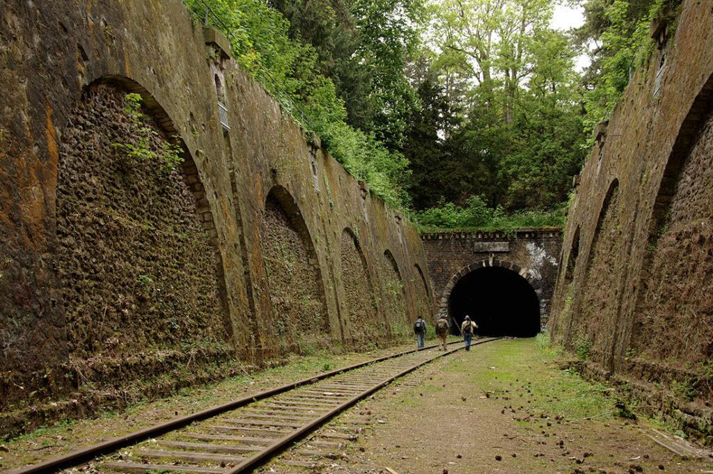 Заброшенные жд пути. Заброшенная железная дорога petite ceinture, Франция. Заброшенная железная дорога в Париже. Круговая железная дорога, Париж, Франция. Круговая железная дорога в Париже.