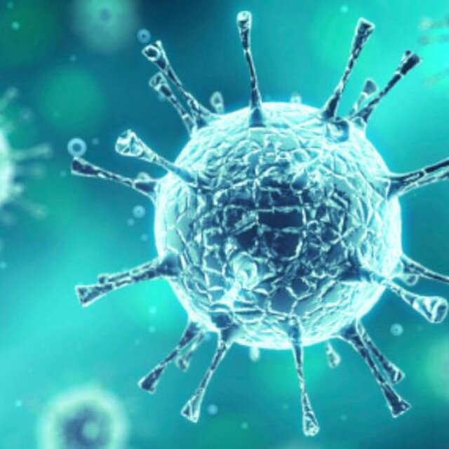 Коронавирус Covid-19