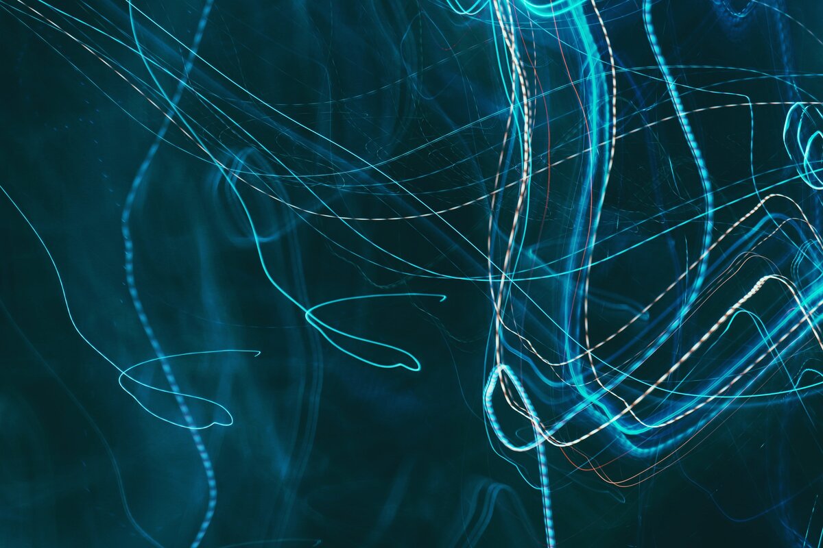 by Nina Z on Unsplash