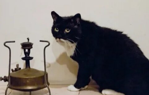 Настало время удивительных историй 😁