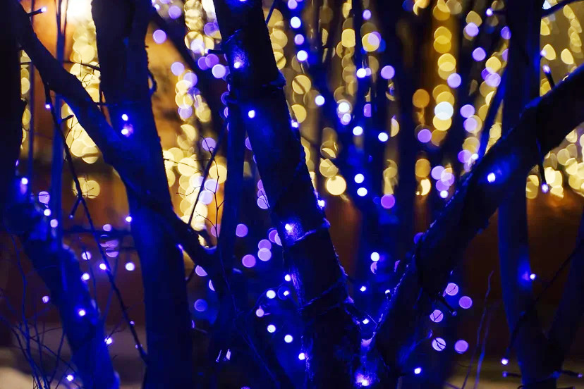 Уже завтра куранты пробьют 🤩
И наступить 2021 год 👏👏
С чем мы Вас и поздравляем 🎉 
Подарки готовы 🎁 
Дома наряжены 🏡 
Праздник с нами ✨
Команда SvetVille успела все ! 🙌
Наша миссия прекрасна - мы дарим радость всем окружающим 💡👍
Мерцающие огоньки завораживают людей, приносят счастье, поднимают настроение и создают волшебную атмосферу 😇
Украшения дома и территории всегда актуально: летом, осенью, зимой и весной 💪
Мы подберем подходящую концепцию для любого времени года и погоды 😉
Клиенты всегда остаются довольны ! 🌟
✅Быстро 
✅Качественно
✅Безопасно
Звоните +7 999-850-88-49📞

#новогодняяподсветка#инсталяция#заливающийсвет#освещениевмоскве#освещениефасада#москва#подмосковье#архитектурнаяподсветка#московскаобласть#свет#подсветкафасада#новыйгод#загородныйдом#архитектурноеосвещение#гирлянда#бахрома#светильники#украшениеелки#подготовкакновомугоду#москваосвещение#декоративнаяподсветка