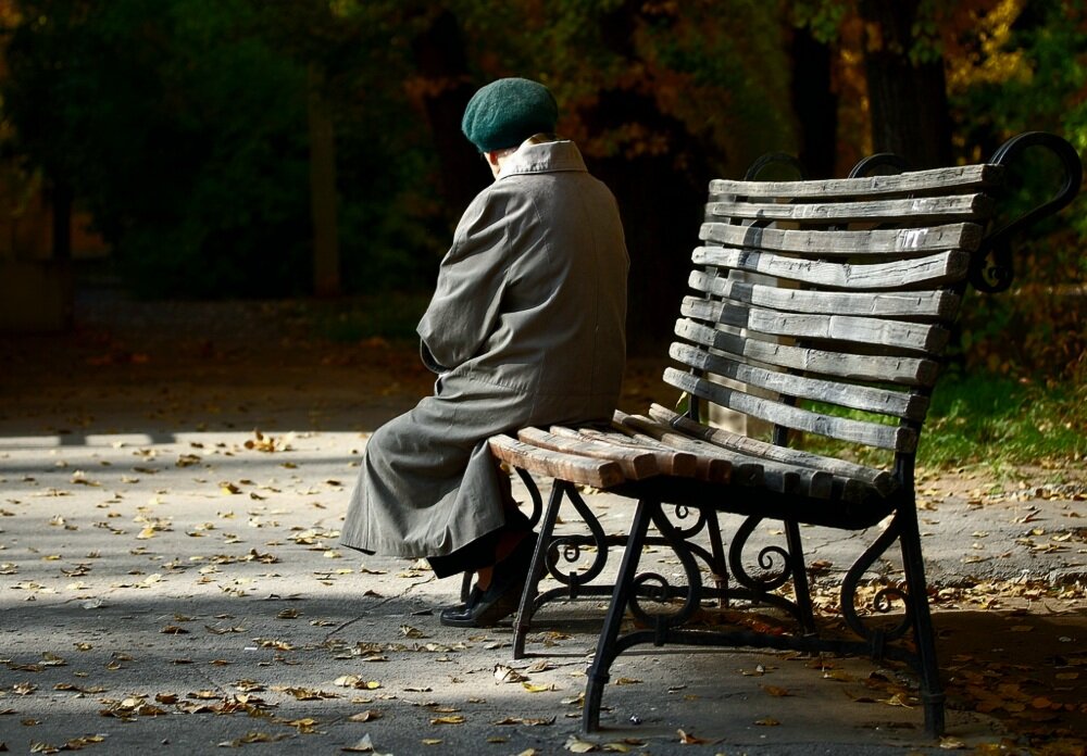 Фото Яндекс 