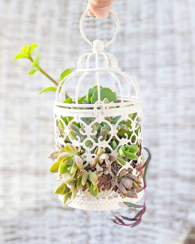 фото Instagram lush_vibes_