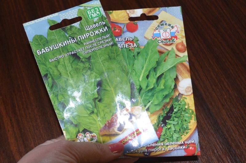 Вот такой щавель для посева на рассаду в январе.