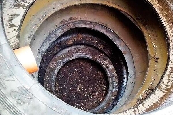 Фото  https://sovet-ingenera.com