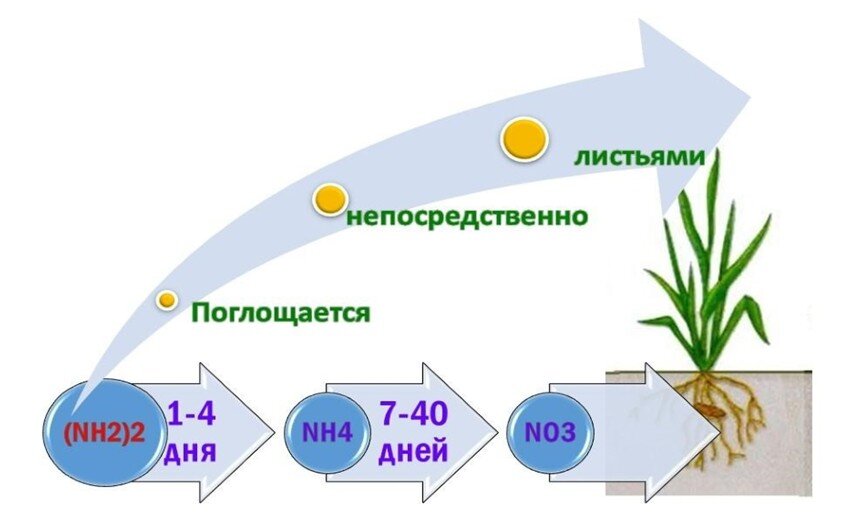 В зале есть азот