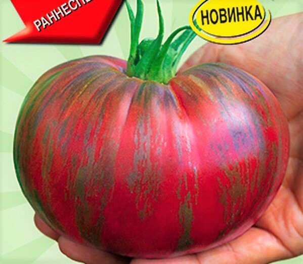  Сорт Амурский тигр розовый. Фото с сайта: https://clck.ru/Sz4EL.