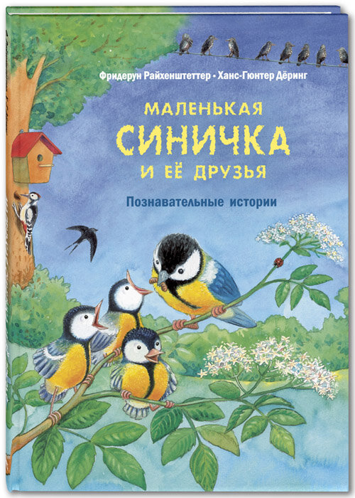 Большая книга птиц - Vilki Books