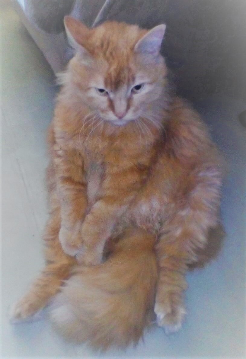 Благодарю за фото Наталью СЕРГЕЕВУ