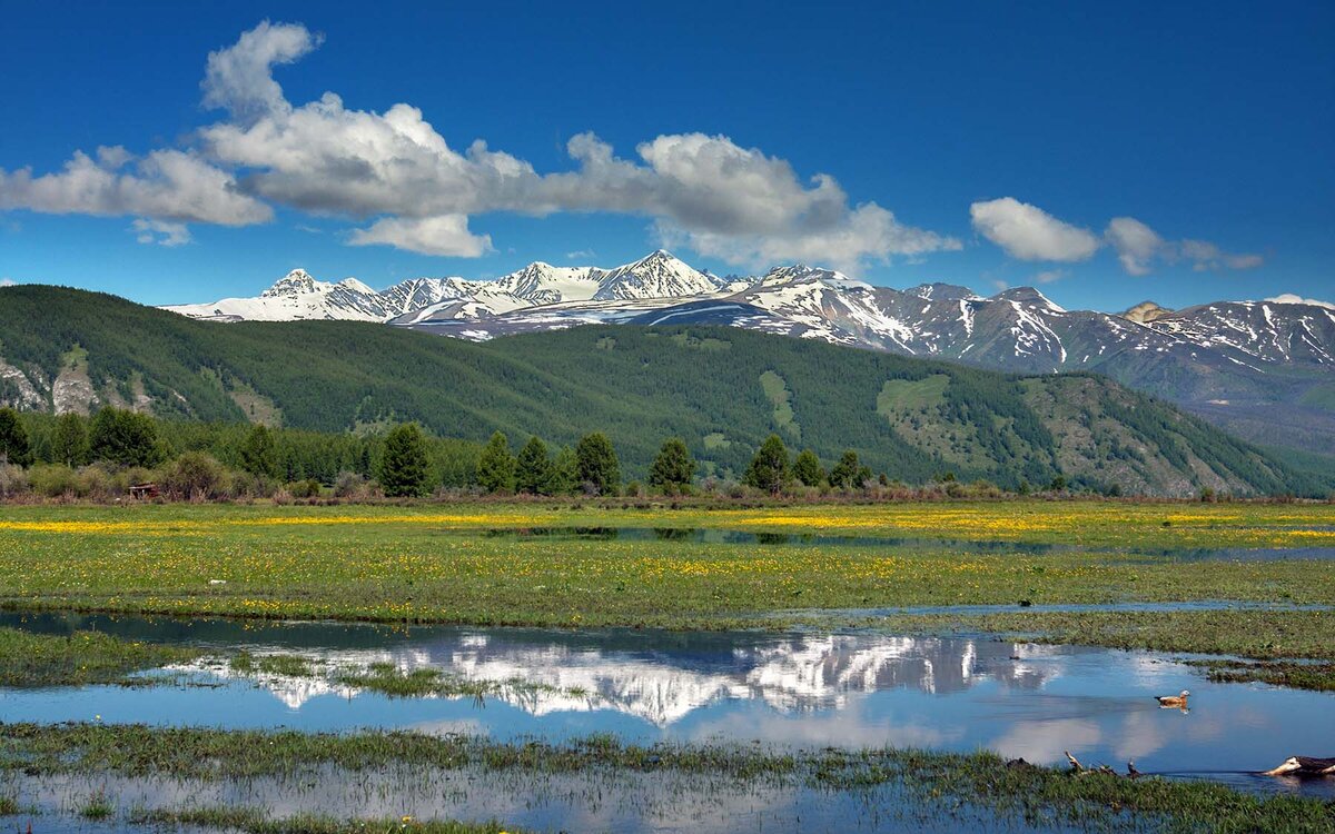 Пик Шенелю со степи Самаха.