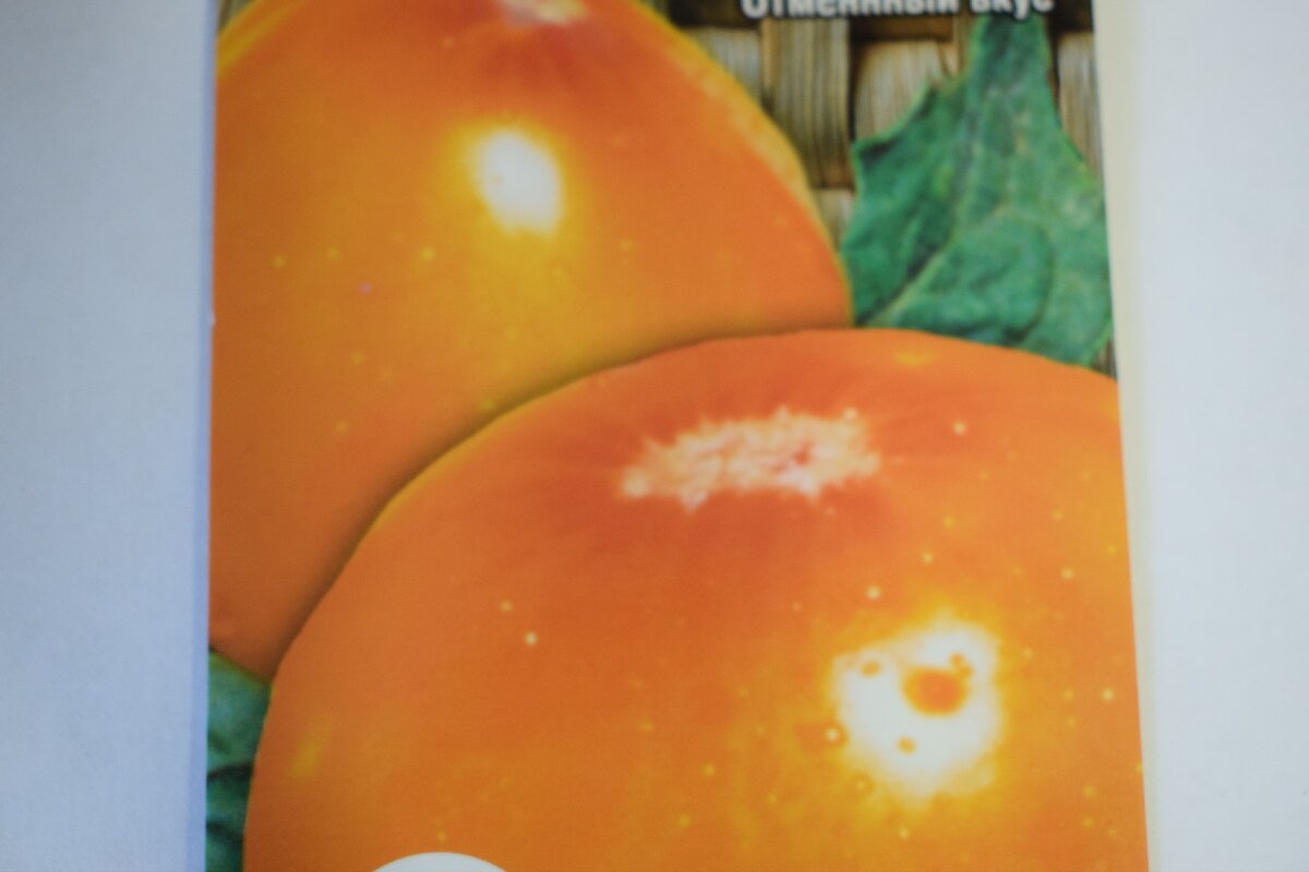 томат золотые купола 