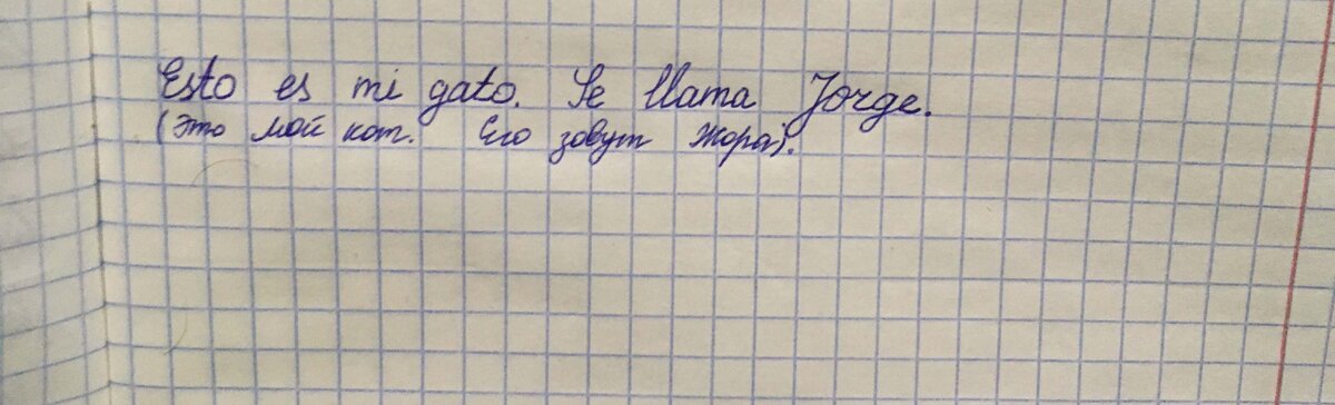 Выражение чувств и симпатии на испанском языке