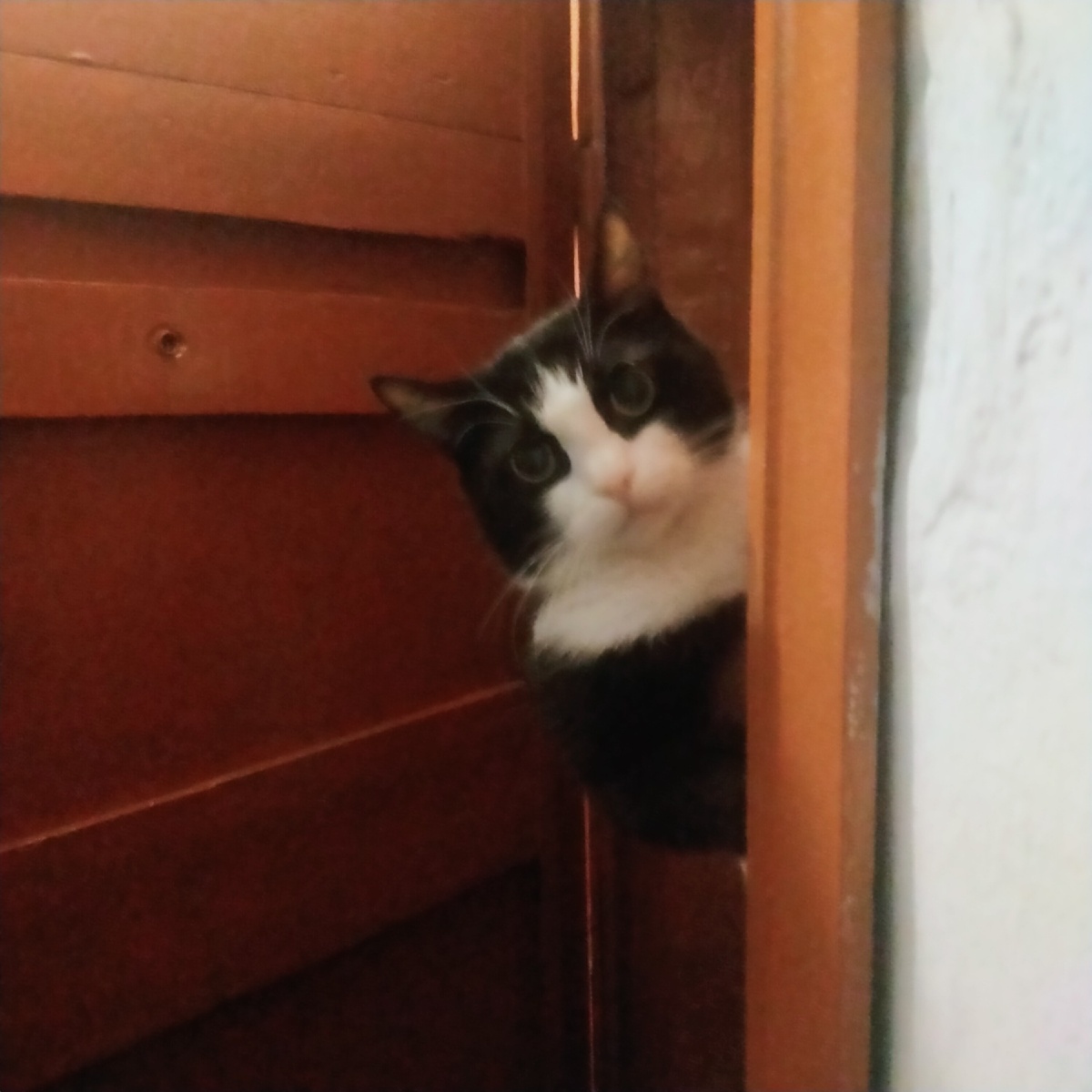 Тот кто тебя всегда ждёт