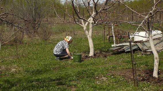 Борьба с сорняками начинается ранней весной и не заканчивается никогда