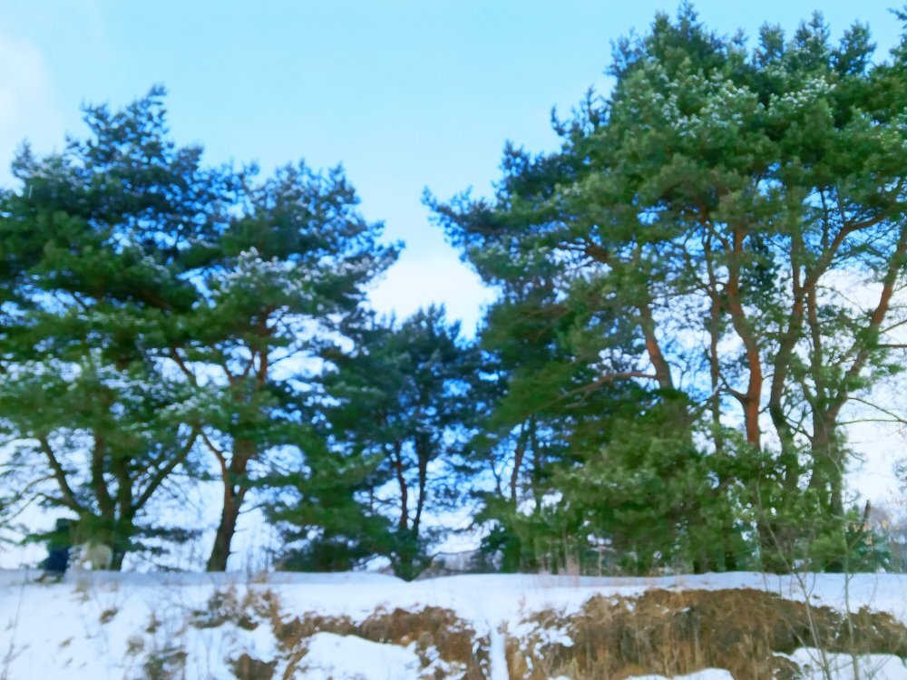 Природно-исторический парк "Москворецкий", части которого уже выведены под застройку. Фото: Facebook