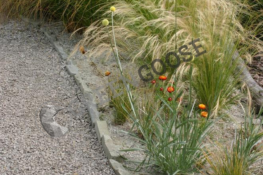  Рядом с серой гравийной дорожкой стоит посадить растения интересной формы, например, декоративные травы.