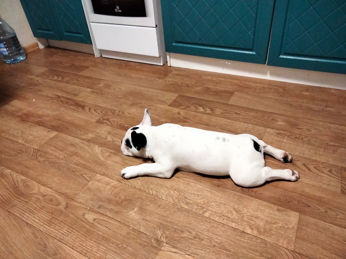 Это я так отдыхаю