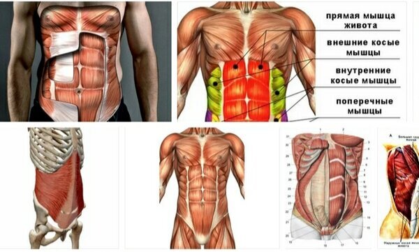 Pin on Love Your Core