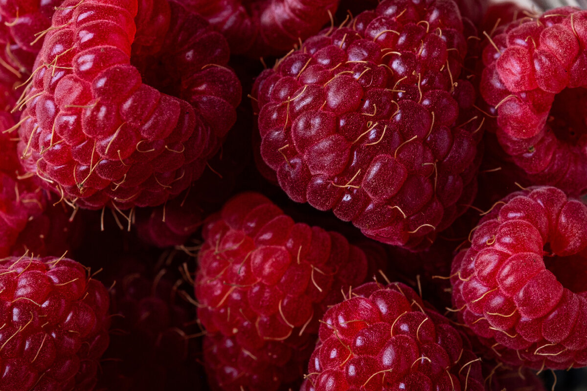 фото ягоды малины крупным планом