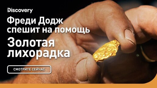 Кому помогает золото Кому помогает золото
