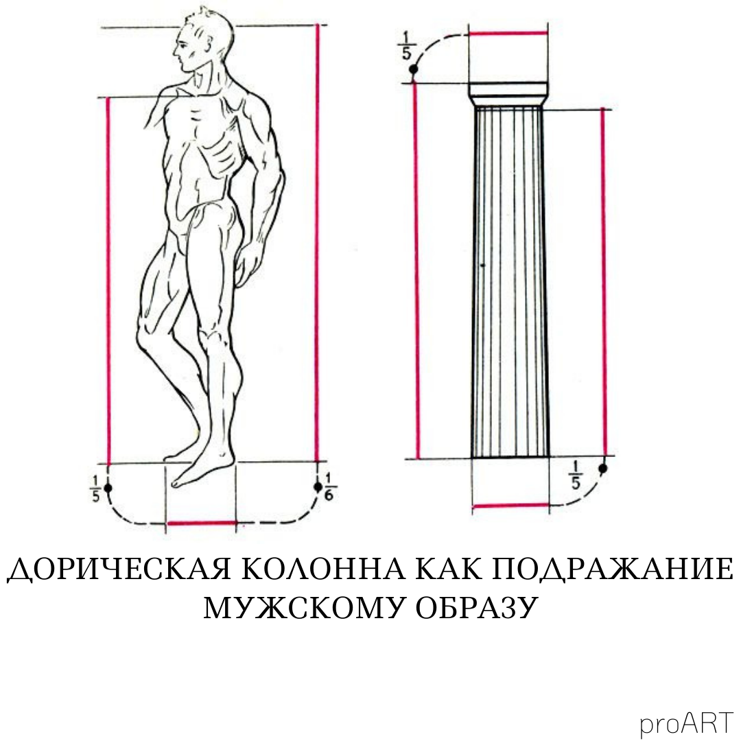 Классическая пропорция. Пропорции тела древняя Греция. Пропорции в древней Греции. Пропорции человека в древней Греции. Пропорции тела человека в древней Греции