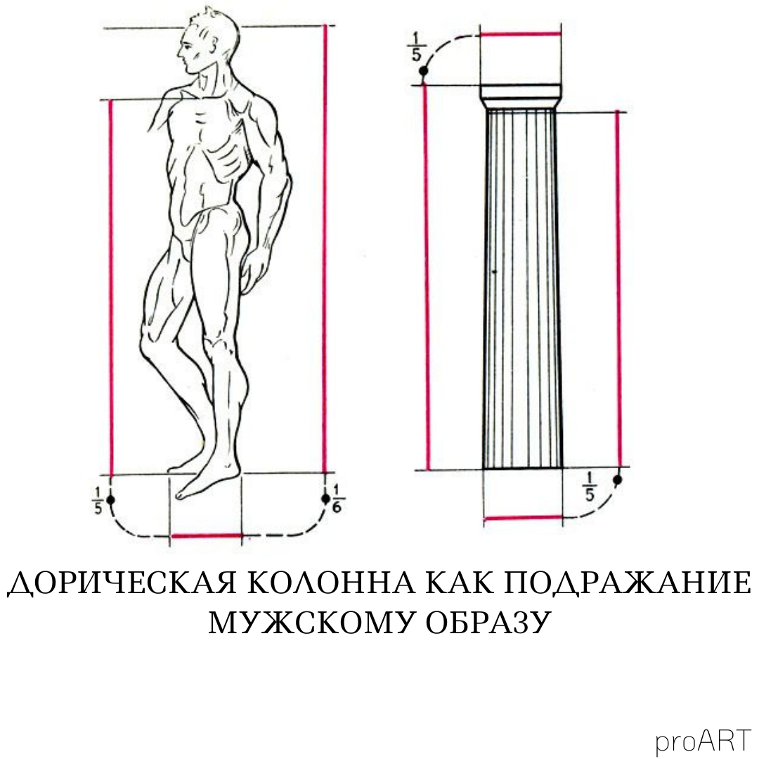 1 система пропорций человеческой фигуры которая делила изображения на части это