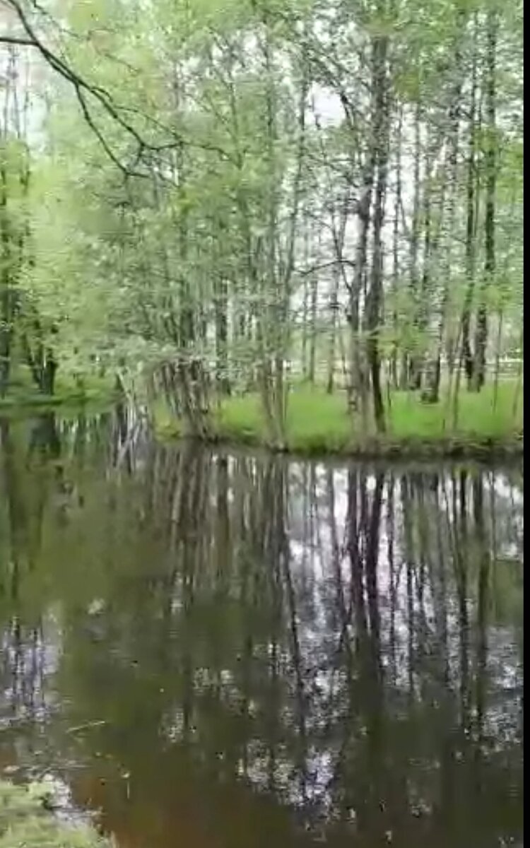 До нужного места они недолго ехали вдоль реки