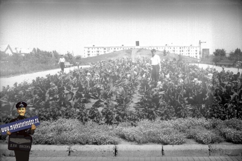 Видна курган со стороны улицы Гаврилова