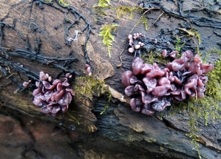 Фото: Марина Привалова