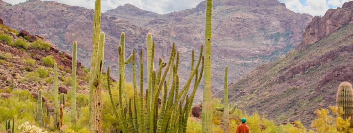 10 ЗАБАВНЫХ ФАКТОВ ОБ АРИЗОНЕ