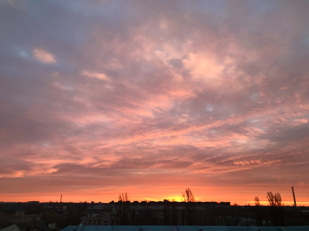 Утро новой жизни