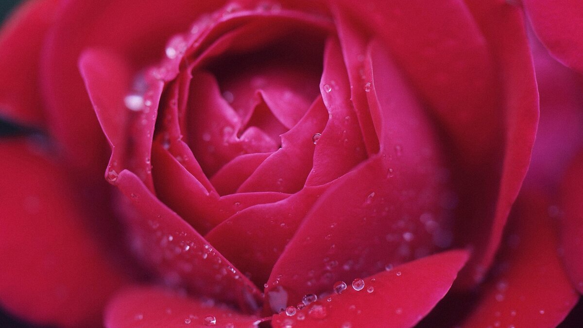 Картинки из интернета