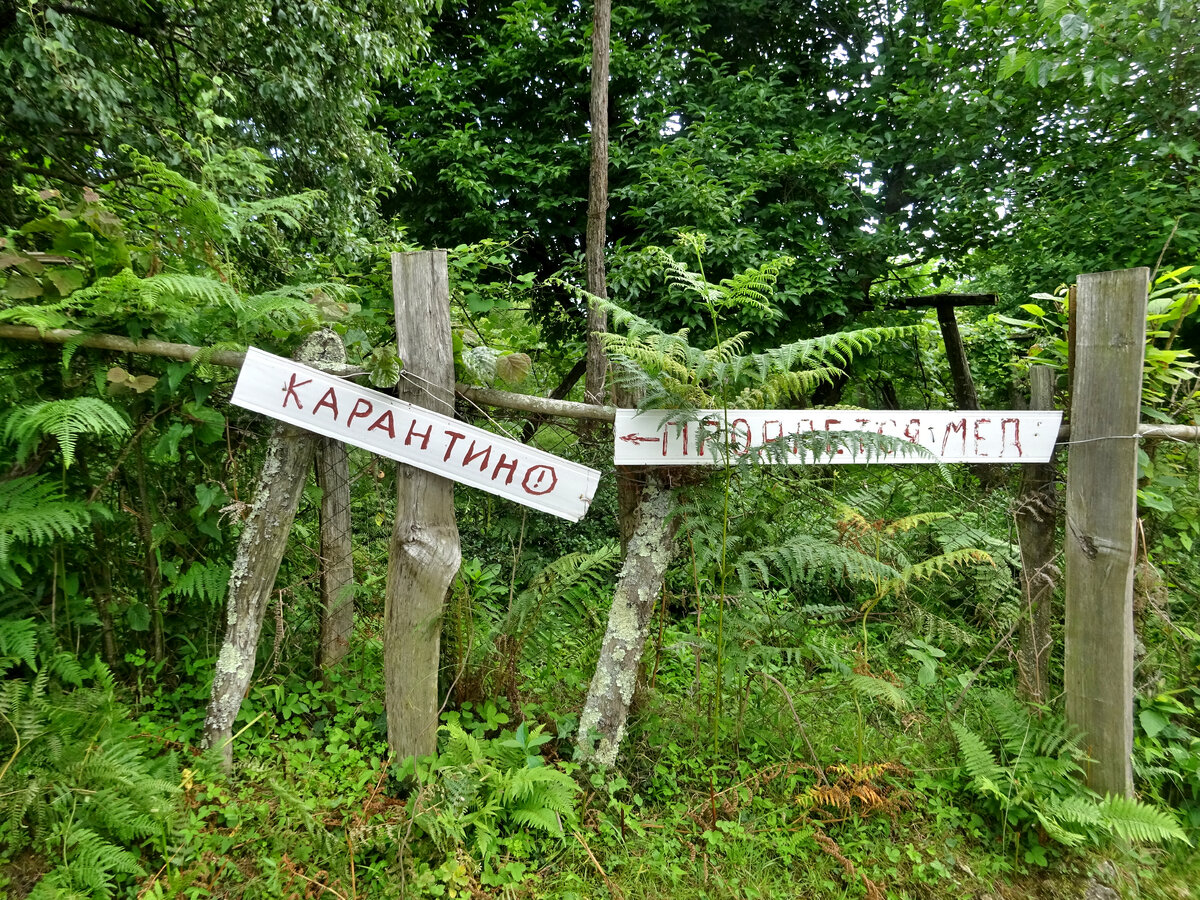 У домика отшельника