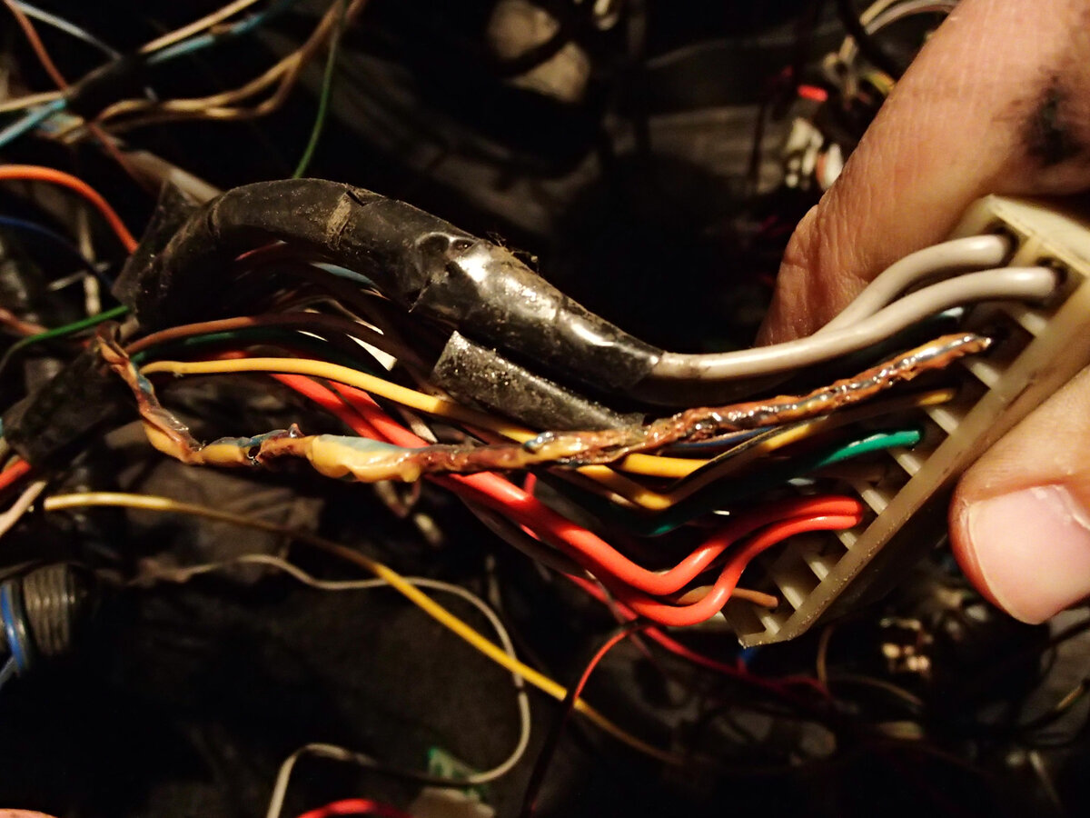 Фото взято с Яндекс картинки.