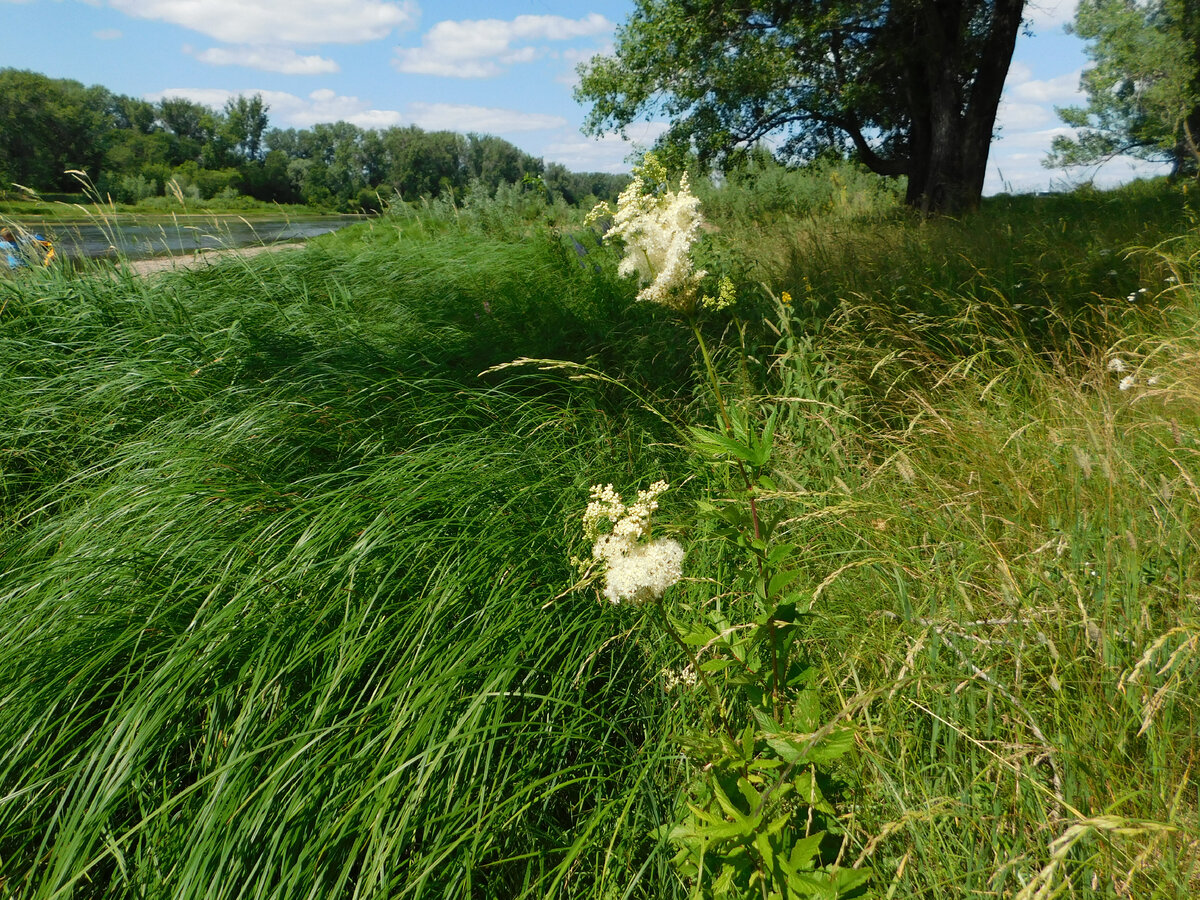 Родители своим решением разделили брата и сестру. Фото автора.