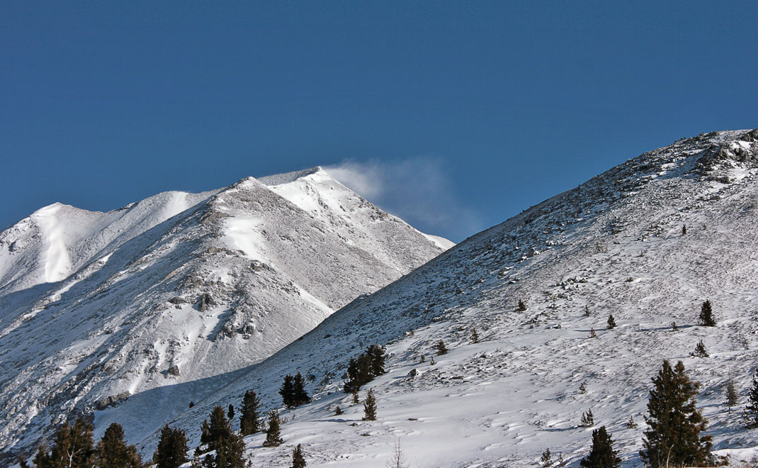Пример «Флагов». Автор: Вячеслав Петухин