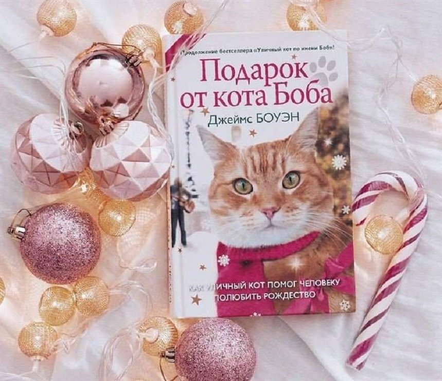 Фото взято из открытых источников 