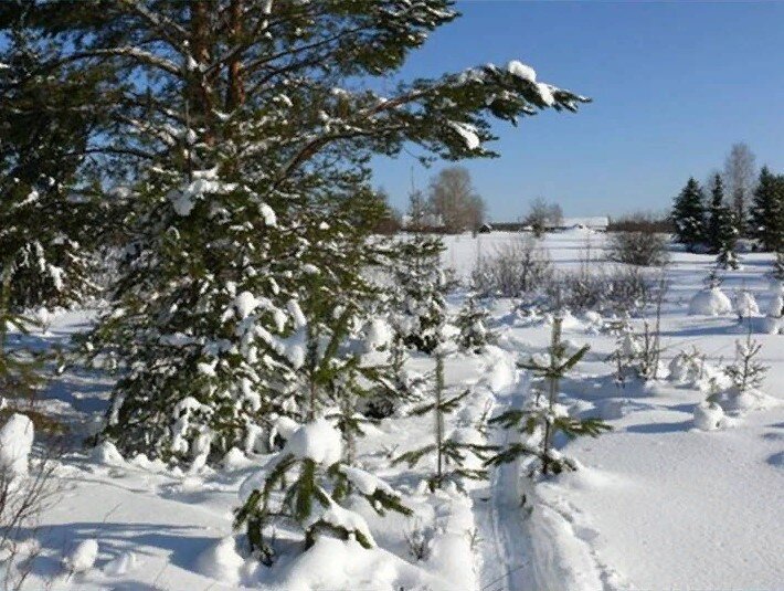 Февраль – Сечень - Бокогрей.
