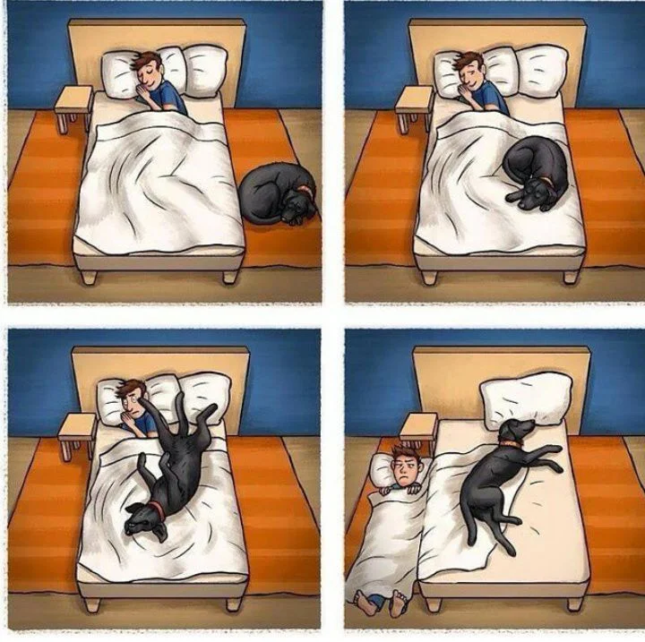 Изображение взято из открытых источников.