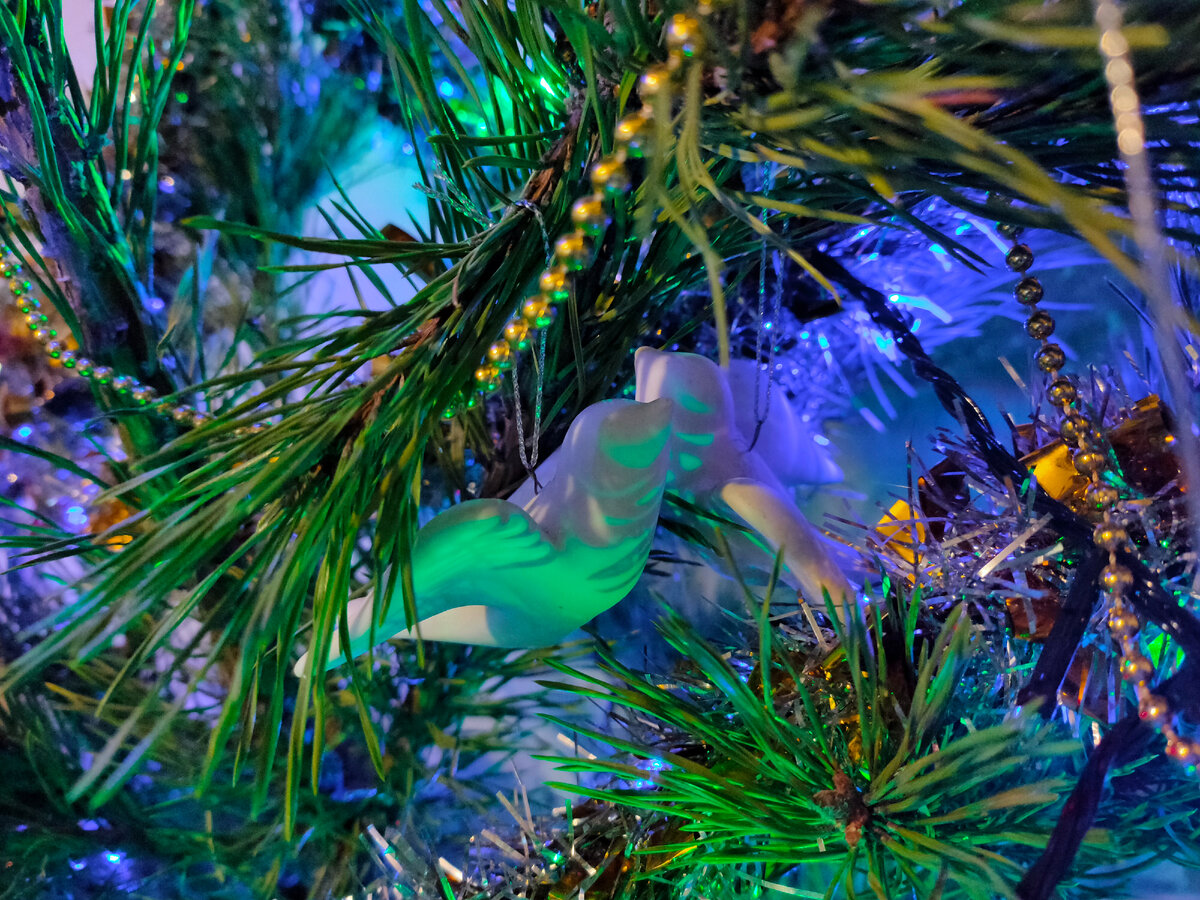 Фотография сделана автором канала