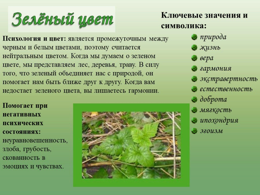 Зеленый с сиреневым: значение, сочетание и символика
