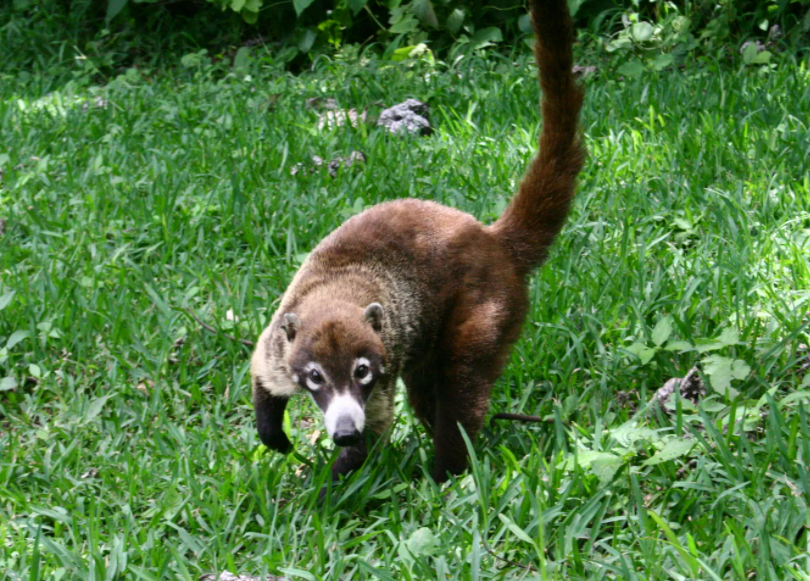 Фотография взята из источника 50mm.ru